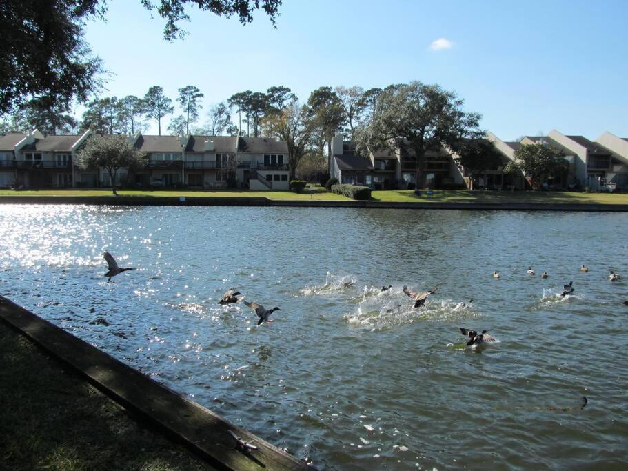 Lakeside Daze! Montgomery Exterior foto